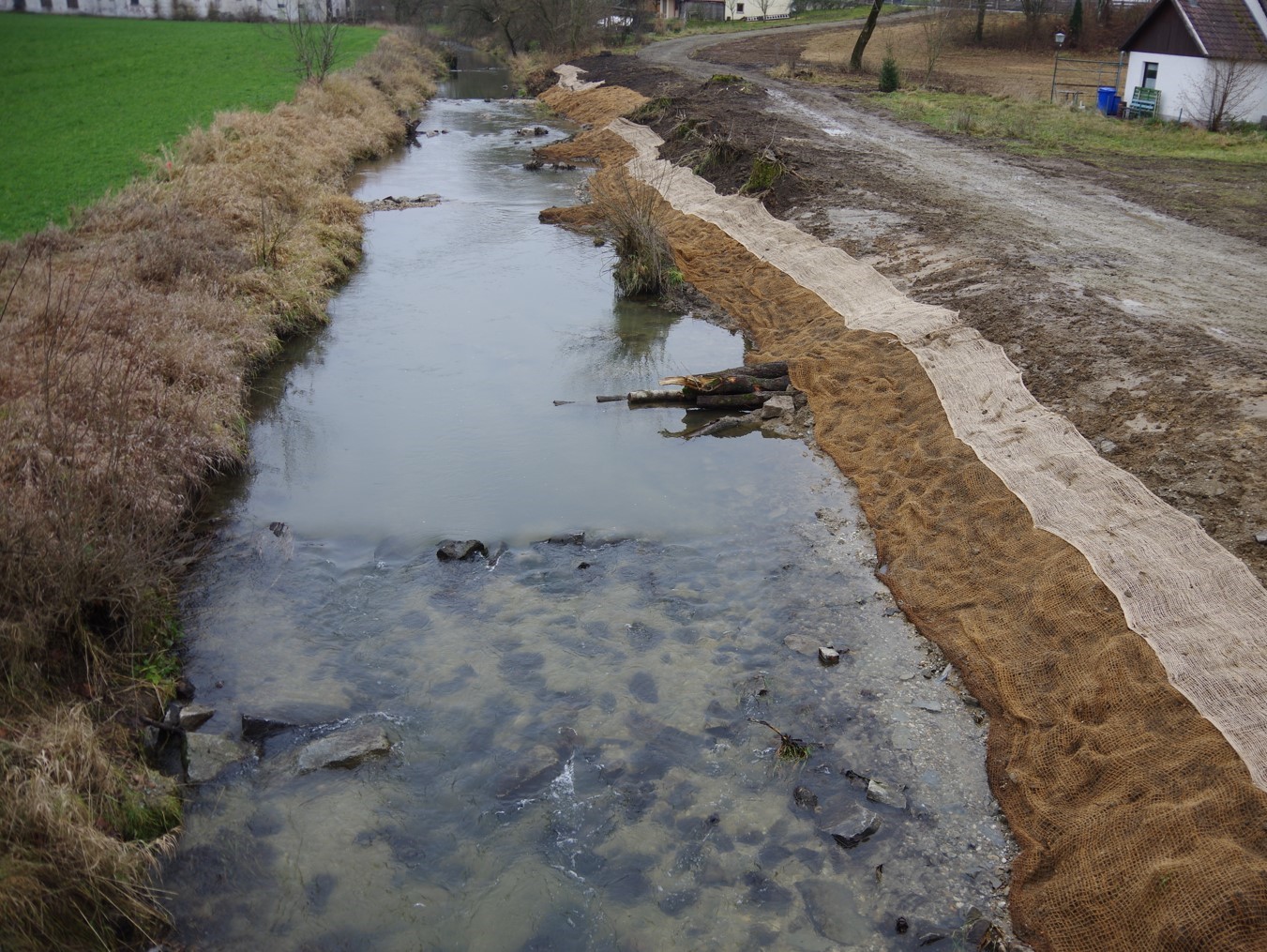 Oberstrom der Brücke war zwar kein Platz für großzügigere Umgestaltungen des Geländes, aber mit einigen geschickt gesetzten Strukturelementen innerhalb des Gewässers lässt sich auch schon einiges erreichen. Im Vergleich zum vorherigen Zustand ist das Strömungsbild deutlich abwechslungsreicher geworden.