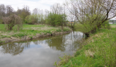 Zu sehen ist die Kinsach mit beidseitigem Ufer und Bewuchs